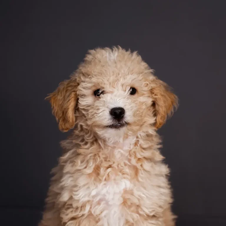 Physiotherapie Ennigerloh