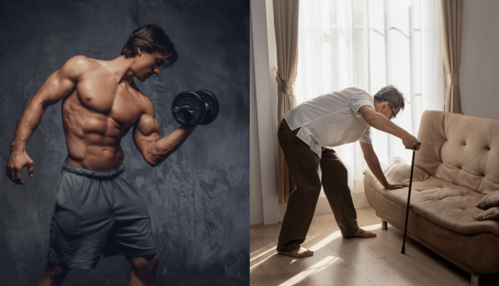 Senior führt eine leichte Kraftübung im NEXCORE Fitnessstudio Ennigerloh aus, um Muskelabbau bei Sarkopenie entgegenzuwirken.