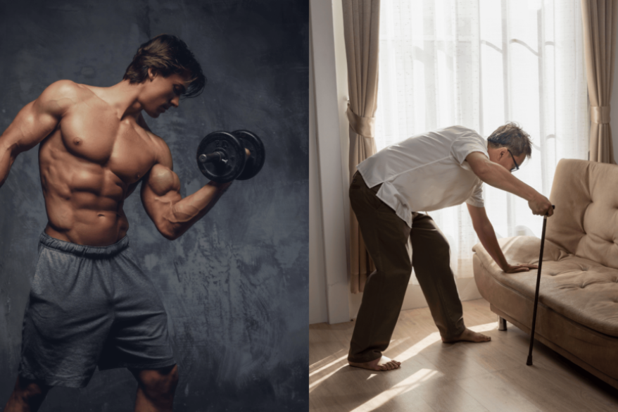 Gezieltes Krafttraining gegen Muskelschwund bei NEXCORE.