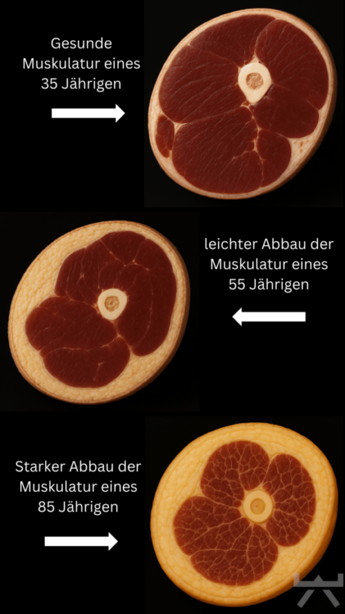 Alltagsfreundliches Krafttraining zur Stabilisierung des Blutzuckers für Menschen aus Oelde und Umgebung.
