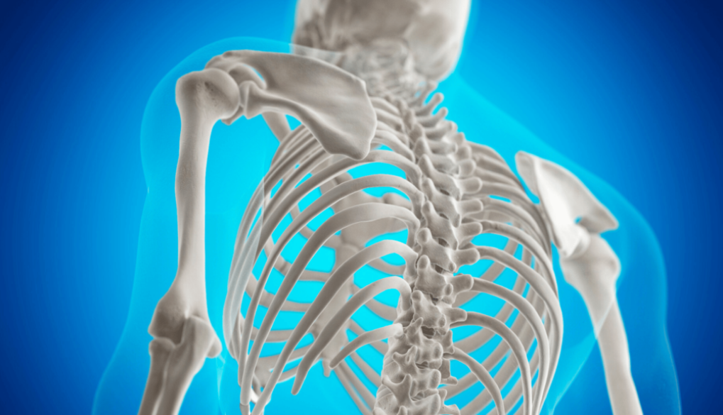 Person führt ein schonendes Krafttraining im NEXCORE Fitnessstudio Ennigerloh aus, um die Knochendichte bei Osteoporose zu verbessern.