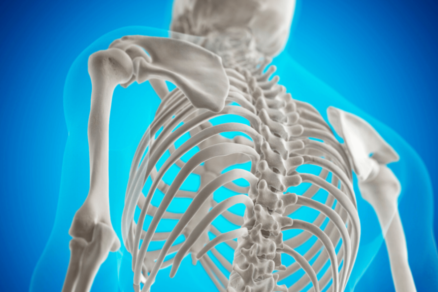 Krafttraining zur Stärkung der Knochendichte im NEXCORE Fitnessstudio.