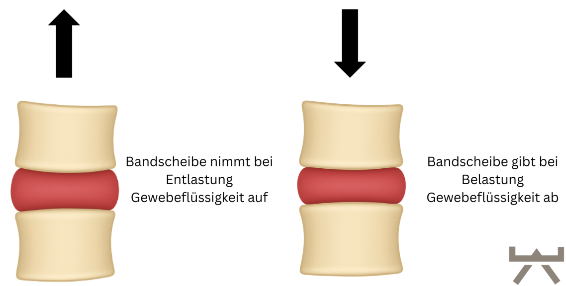 Mobilisationsübungen gegen Rückenschmerzen, empfohlen von NEXCORE für Vorhelm und Hoetmar.