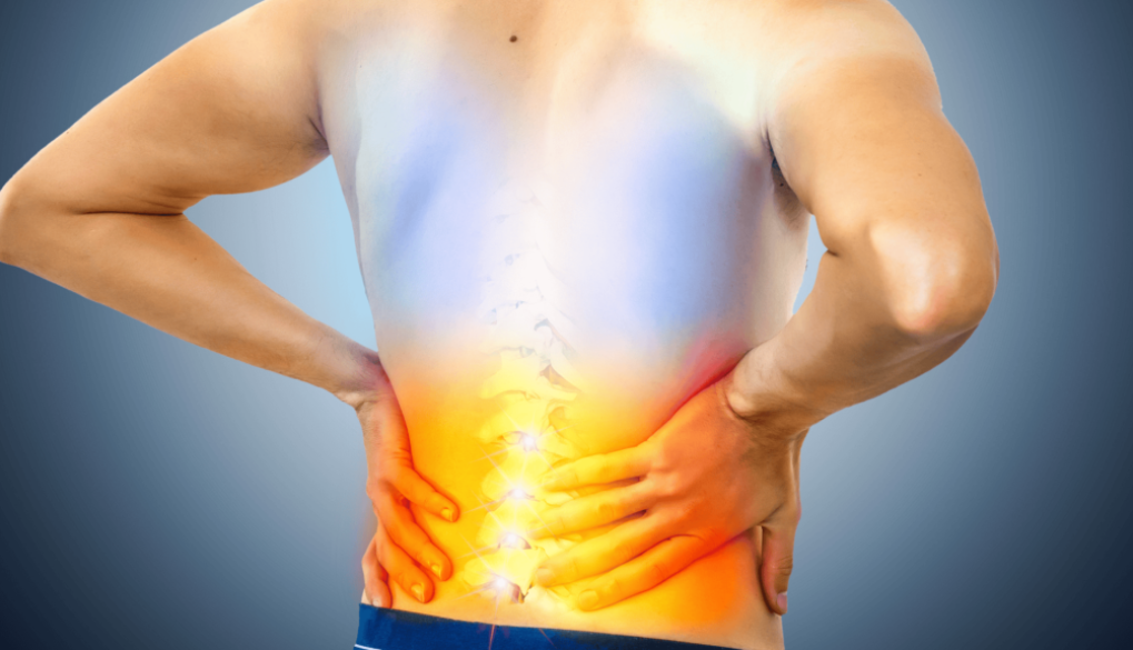 Person erklärt Bandscheibenaufbau und Rückenschmerz im NEXCORE Fitnessstudio Ennigerloh.