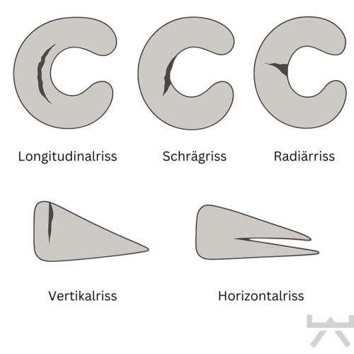 Schonendes Kraft- und Koordinationstraining bei Meniskusriss für Mitglieder aus Beckum und Umgebung im NEXCORE Studio.