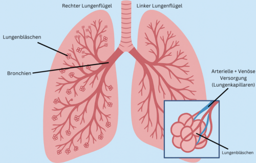 Atemtherapie-Übung zur Verbesserung der Lungenkapazität bei COPD in der NEXCORE Physiotherapie Ennigerloh.