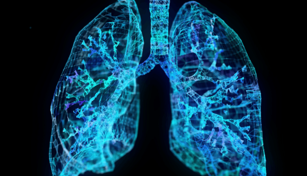 Person trainiert leicht belastend im NEXCORE Fitnessstudio Ennigerloh, um Atmung und Lungenfunktion bei COPD zu verbessern.