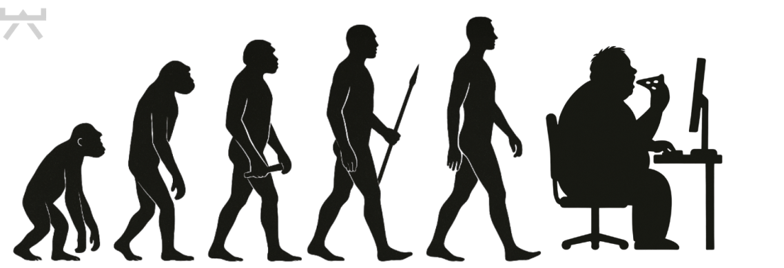 Ganzkörpertraining zur Erhöhung von Kraft, Energie und Funktionsfähigkeit bei Sarkopenie im NEXCORE Fitnessstudio Ennigerloh.