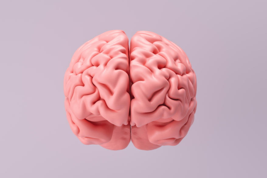 Aktives Training zur Förderung von Mobilität und Orientierung bei Demenz.